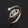 Acessórios de Moda Europeus e Americanos Novos Transfronteiriços Anel Olho de Diabo com Abertura de Diamante, Design Simples, Versátil e Exquisito