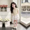 Nuevo Top Floral Elegante de Manga Corta de Verano para Niñas Grandes Falda de Pastel con Volantes de Encaje Personalizada Conjunto de Dos Piezas para Niños Medianos y Grandes