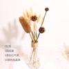 Ramo de flores secas de Yunnan con hojas de eucalipto inmortales, estilo nórdico, adornos decorativos para el hogar y la sala de estar, accesorios de tiro DIY.