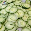 Kudzu comercial, konjac, lirio, castaña de agua, taro, cebolla, cigu, batata, escudo de agua, ñame, corte, procesamiento, cortador de verduras