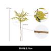 Nuevo Estilo Chino Simulación Rama Larga Caballo Borracho Madera Sola Hoja Verde Planta Modelo Habitación Ajuste Suave Accesorios de Fotografía Adornos Hojas