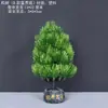 Decoração de Enfeite de Mesa Pinheiro Bem-vindo Pequeno Pinheiro Plantas Verdes Plantas Aquáticas Mini Rochedo Aquário Paisagismo Hotel