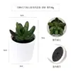Más de 100 Tipos de Combinaciones de Plantas Suculentas Mini de Plástico Simuladas en Maceta, Mini Bonsáis Suculentos Más Vendidos Transfronterizos, Decoración para el Hogar, Adornos Creativos