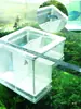 Caja de cría/red de aislamiento para acuario, caja de aislamiento para alevines de pez, acuario