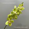 Flor artificial creativa de un solo tallo con un toque estrellado, orquídea Bandai, decoración fresca para escritorio, accesorio para arreglo de escena de boda