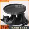 Bandeja de Joyería Divertida de Gato Impresa en 3D de Nuevo Producto Transfronterizo Bandeja de Almacenamiento de Joyería de Escritorio Adorno para Uso en el Hogar