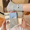 Calcetines Finos Rayados de Verano para Perros Pequeños, Estilo Coreano de Moda, Lindos Calcetines Rayados de Dibujos Animados Japoneses con Bloques de Color para Fitness y Yoga para Mujeres