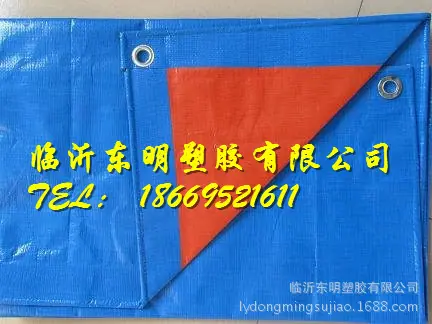 1923775657_416250798_副本