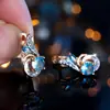 Brincos de Asas Redondos Diamantados Azul Marinho de Luxo Leve Duas Cores Mais Vendidos no Aliexpress para Mulheres, Brincos Criativos da Moda e Personalizados