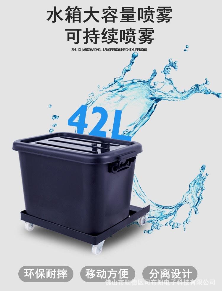 6.JPG