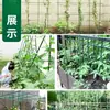 Caja de plantación, enrejado, soporte para cultivo de hortalizas, estante para hortalizas de balcón, soporte para patio exterior, soporte para flores, poste de escalada de tubo de acero