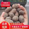 Tianjin argila expandida enchimento de vaso sanitário isolamento de telhado argila expandida telhado de garagem concreto leve