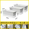 Maceta Rectangular de Autorriego para Uso Doméstico para Cultivar Cebollas, Maceta Pequeña para Cebollas de Balcón con Tierra, Maceta para Verduras con Pintura Colorida