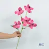 Flores Artificiales para Bodas, Decoración de Escena para Salón de Bodas, Escaparate de Centro Comercial, Tallo Único Impreso en 3D de 5 Cabezas de Orquídea Phalaenopsis