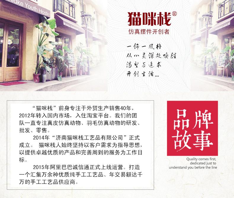 猫咪栈品牌故事