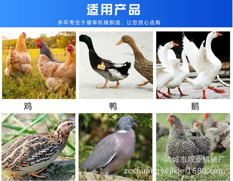 69b70f034a2bee619dc02c9c7123d6