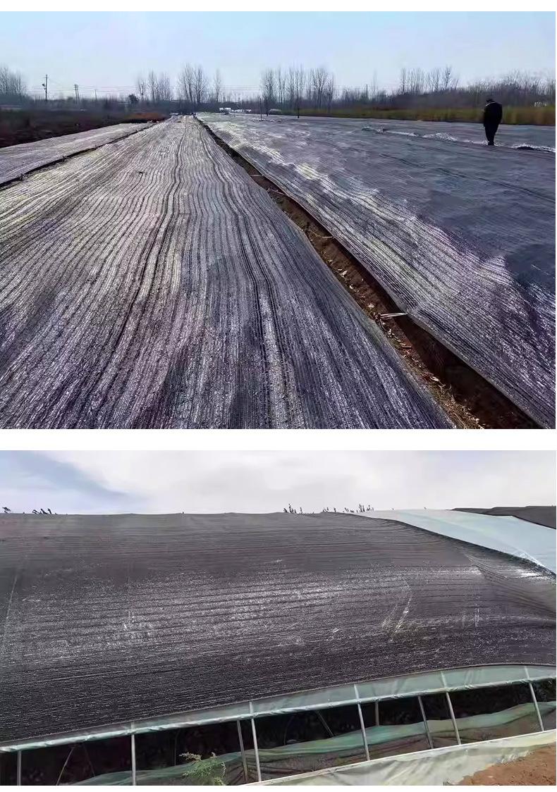 平织遮阳网
