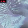 Patrón de Escamas de Pescado Coloridas Plisado Hilo de Onda Líquida Ao Run Tela de Moda Accesorios Encaje Grande Hoja de Loto Tela de Organza
