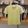Camiseta tipo polo de malla elástica de algodón de fibra larga Leishibert Xinjiang para hombre, manga corta, transpirable para verano, sin planchar, de manga corta