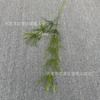 Guanyinlian de siete cabezas Pasto Pico de Bambú Flores de Simulación para Boda Plantación Verde Hoja de Color a Mano Taro Sagitaria Murraya Material de Flor Mori