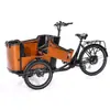 Triciclo para Mascotas Bicicleta de Carga Triciclo Inverso Asistencia Eléctrica Paseo de Perros Transporte de Personas Transporte de Mercancías Vehículo con Caja de Madera Bicicleta para Padres e Hijos