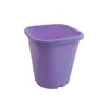Vaso Quadrado para Suculenta Echeveria 'Hortula', Vaso de Plástico, Branco e Rosa
