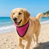 Bufanda Refrescante de Verano para Perros, Cómoda, Transpirable, Ajustable, Protectora contra el Calor, Collar Babero Refrescante, Suministros para Mascotas