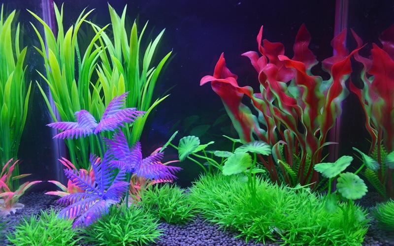 O1CN01Psl4Na1KVu0Wr6fRN_!!1035