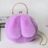 Fabricante Directo al Por Mayor Bolso con Orejas de Conejo Bolso Bandolera Bolso de Clip Cruzado Otoño e Invierno Bolso de Cadena