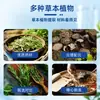 Atacado de fábrica Shuyeno adesivo para alívio de dores em estoque dropshipping Douyin dropshipping adesivo de saúde para pontos de acupuntura uso externo