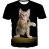 Camiseta Casual Creativa de Manga Corta para Hombre 2026, Exclusiva de Moda para Comercio Exterior de Hombres, Disponible para Dropshipping