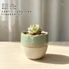 Vaso de Flor Carnuda Cerâmica Jardinagem Cerâmica Mini Novo Criativo Grés Casa Vintage Novo Vaso de Porcelana Vaso