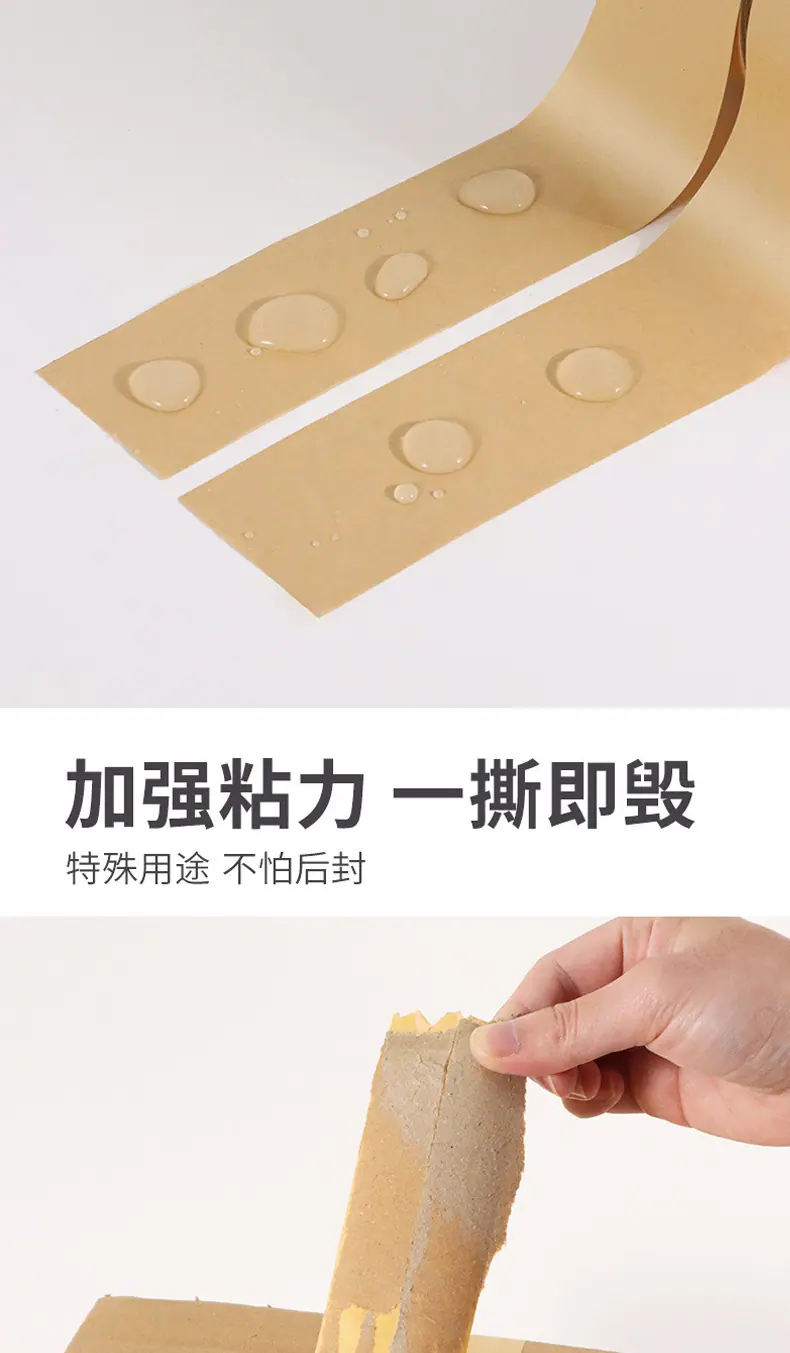55b6b5a88b3d7ef7975b5ae03f4536