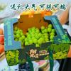 Caja de Embalaje Uva Sunny Rose Caja de Regalo de Fruta Sunny King Caja Vacía Verano Negro Fragante Impresión Cartón Verde Personalización
