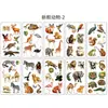 Nuevas Pegatinas de Tatuaje de Animales de Dibujos Animados para Niños, Pegatinas Faciales Lindas Impermeables, Pegatinas Temporales Divertidas, Al por Mayor en Stock