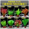 Plantas de Acuario, Decoraciones de Paisajismo con Césped Real, Plantas Aptas para Principiantes, Crisantemo Verde Ciempiés, Plantas de Sombra, Piedra Volcánica, Plantas Verdes Purificadoras de Agua