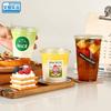 Vaso desechable de café de plástico PET con tapa vaso para bebida fría de té de frutas casero crudo latte té con leche