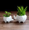 Venta al por mayor de fábrica transfronteriza jardinería zakka maceta carnosa maceta creativa adornos de cerámica pequeño elefante escritorio maceta pequeña