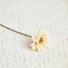 Simulación de rama única pequeña gerbera cepillada borde crudo fulangu flor falsa pequeña fresca suave margarita fábrica mayoreo