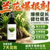 Agente Especial Estimulante de Raíces para Plantas de Orquídeas, Solución Nutritiva Especial para Orquídeas, Previene el Marchitamiento de las Hojas, Promueve el Enverdecimiento, Enraizamiento, Floración, No Requiere Dilución