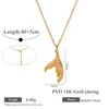 Colar de Aço Titânio com Pingente de Cauda de Peixe Tridimensional Suave Transfronteiriço, Corrente Fina em Formato de O Banhada a Ouro 18K, Joia Feminina Versátil e Única
