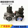 Bomba de paletas de desplazamiento variable VP-20-FA3 Conjunto de bomba hidráulica VP-15-FA3 Cabezal de bomba de aceite hidráulico SF Accesorios para estación hidráulica