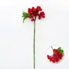 Frutas Vermelhas Artificiais, Frutas Silvestres, Galhos de Feijão, Vagens de Acácia, Buquê Artificial de Frutas Estilo Ins, Acessórios para Arranjo de Flores de Mesa, Adereços para Fotografia