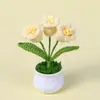 Girasol de Lana Transfronterizo en Maceta Flor de Lirio del Valle Nomeolvides Tulipán Adorno de Flor Artificial Temporada Escolar Regalo para Maestro