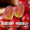 Uvas Vermelhas Sem Semente Uvas Kuren Sheng 5 Jin Peso Líquido Frutas Frescas Cacho Inteiro Uvas Roxas Frutas para Grávidas e Crianças