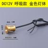 Foco pequeño de aliento de bebé estrella 1W apertura 15MM empotrado bajo voltaje pasillo 12V parpadeo respiratorio luz de cúpula estrella miniatura