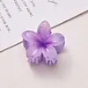 Pinza para el Cabello Dulce de Frangipani Estilo Popular Transfronterizo para Cabello Semirecogido en la Parte Trasera de la Cabeza, Pinza de Flor para el Cabello, Pinza de Tiburón para el Peinado