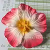 Venta al por mayor de fábrica Pasador de pelo con flor de hibisco simulada de EVA Tocado Plumeria Flor Colorida Viaje Ropa de baño Playa Foto