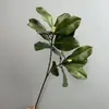 Hojas de Magnolia Simuladas, Brotes de Flor de Bowl Blanco Simulados, Decoración del Hogar, Flores Artificiales, Hojas Simuladas, Ramas de Magnolia, Plantas Verdes Transfronterizas