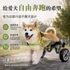 Silla de ruedas para perros con discapacidad en las extremidades traseras, Vehículo de asistencia para mascotas mayores, Ayuda de movilidad auxiliar para parálisis de extremidades delanteras, Rehabilitación de patas traseras para perros grandes y pequeños